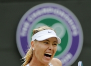 AYX-莎拉波娃迎来十五赛季高光表现，加拿大队球迷沸腾！的简单介绍