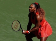 爱游戏体育- 蒂姆现状 